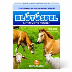 Blotospel