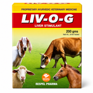 Liv O G